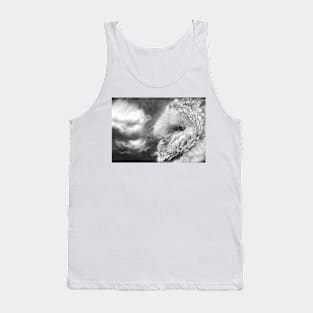 Keeper of Secrets Tank Top